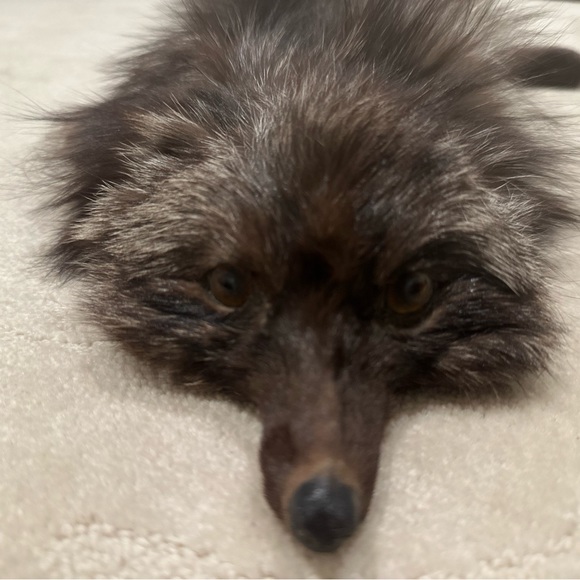 Vintage Fur animal cape/shawl - Picture 6 of 10